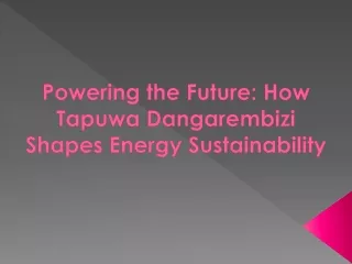 Powering the Future How Tapuwa Dangarembizi Shapes Energy Sustainability