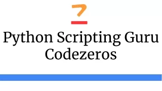 Python Scripting Guru Codezeros