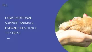 How Emotional Support Animals Enhance Resilience to Stress?