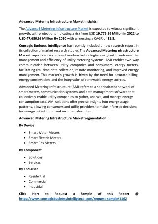 Advanced Metering Infrastructure Market