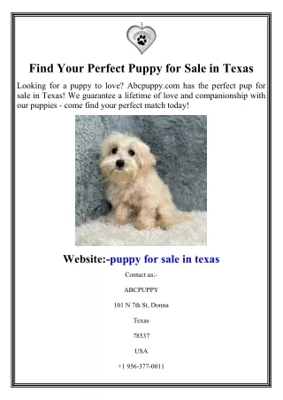 Find Your Perfect Puppy for Sale in Texas