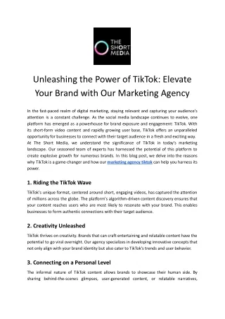 Marketing Agency Tiktok