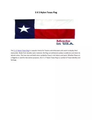 3 X 5 Nylon Texas Flag
