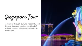 Singapore Tour