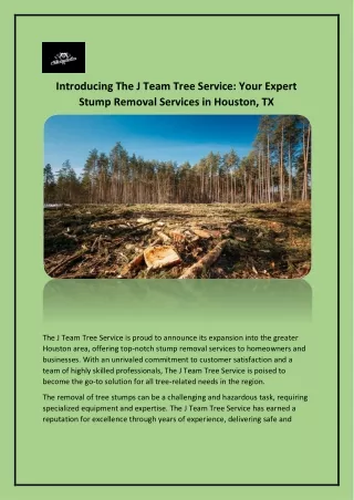 Stump Removal Services in Houston TX - The J Team Tree Service