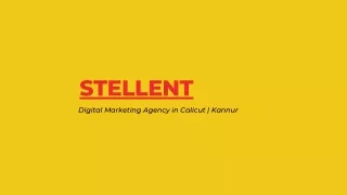 Digital Marketing Agency in Calicut | Kannur | Stellent