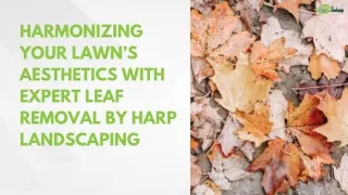 Harmonizing Your Lawn’s Aesthetics with Expert Leaf Removal by Harp Landscaping