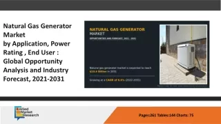 Natural Gas Generator Market ppt