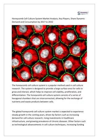 Honeycomb Cell Culture System Market