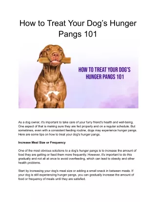 How to Treat Your Dog’s Hunger Pangs 101