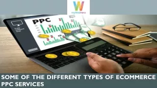 Some of the Different Types of Ecommerce PPC Services