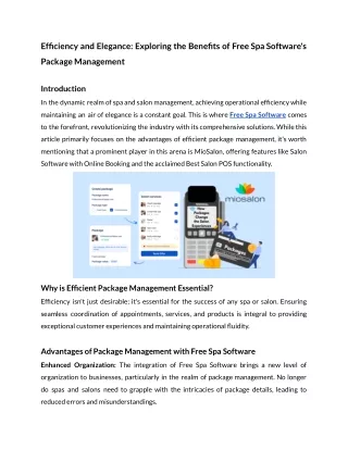 Efficiency and Elegance_ Exploring the Benefits of Free Spa Software's Package Management