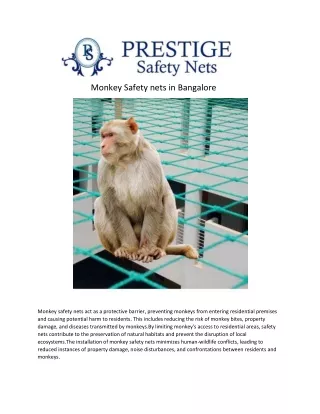 monkey safety nets pretage