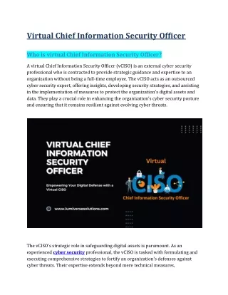 Virtual Chief Information Security Officer