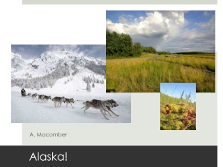 Alaska Presentation for New Zealand
