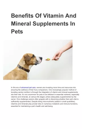 Benefits Of Vitamin And Mineral Supplements In Pets