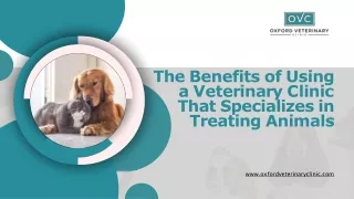 The Benefits of Using a Veterinary Clinic That Specializes in Treating Animals