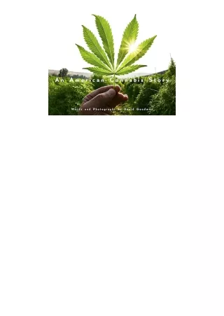 PDF read online An American Cannabis Story full