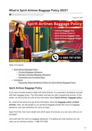 What Is Spirit Airlines Baggage Policy 2023