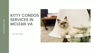 Kitty Condos Services in McLean VA