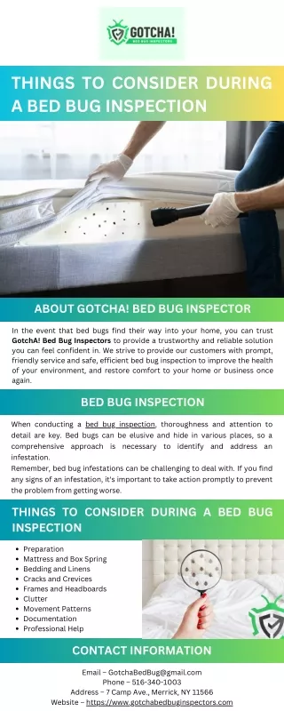 Things to Consider During a Bed Bug Inspection