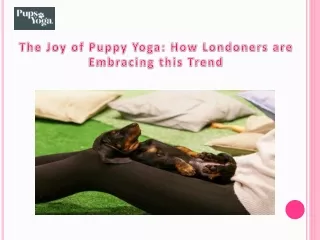 The Joy of Puppy Yoga How Londoners are Embracing this Trend