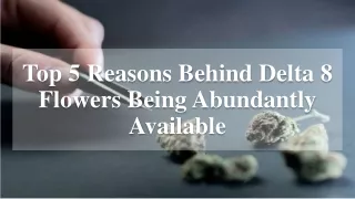 Top 5 Reasons Behind Delta 8 Flowers Being Abundantly Available