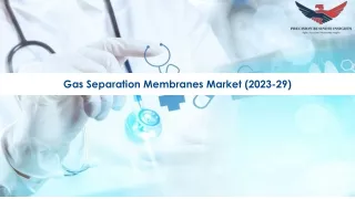 Gas Separation Membranes Market Size, Growth and Research Report 2029.