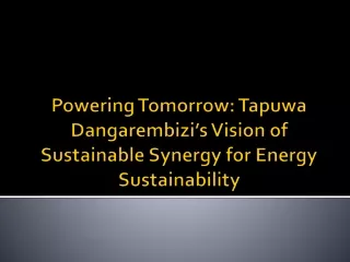 Powering Tomorrow Tapuwa Dangarembizi’s Vision of Sustainable Synergy for Energy Sustainability