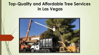 Top-Quality and Affordable Tree Services in Las Vegas