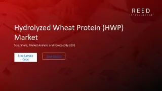 Hydrolyzed Wheat Protein Market Trends and Innovations
