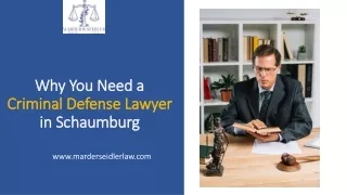 Expert Criminal Defense Lawyer in Schaumburg - Marder and Seidler