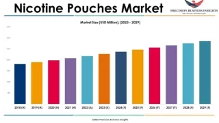 Nicotine Pouches Market Growth Analysis 2023