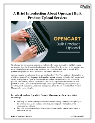A Brief Introduction About Opencart Bulk Product Upload Services