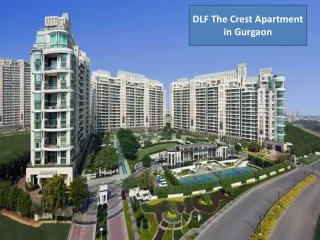 DLF Crest Rent Gurugram | Apartment in DLF Crest Gurgaon