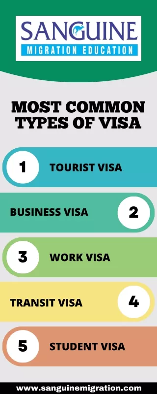 Visa Consultants