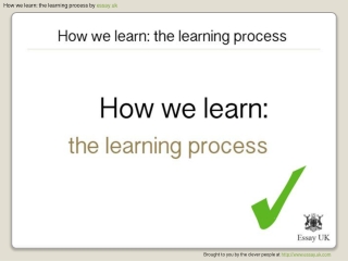 How we learn: the learning process