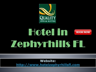 hotel in zephyrhills fl