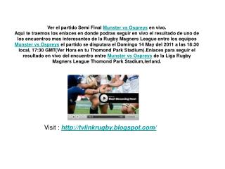 ver el partido semi final munster vs ospreys en vivo 14 may