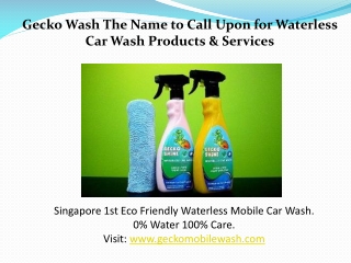 Wax and Shine at Gecko Wash Singapore
