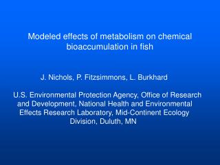 Modeled effects of metabolism on chemical bioaccumulation in fish
