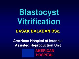 Blastocyst Vitrification