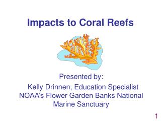 Impacts to Coral Reefs