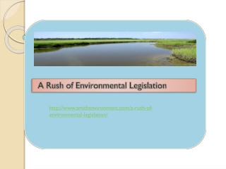 A Rush of Environmental Legislation