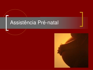 Assistência pré-natal