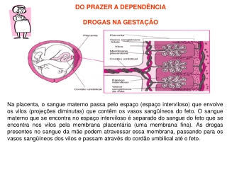 Drogas na gravidez