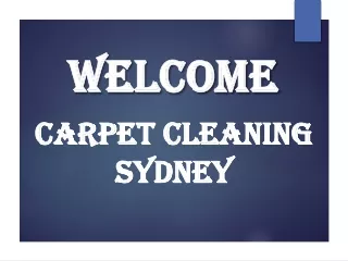 Best Commercial Carpet Cleaning Service in Alexandria