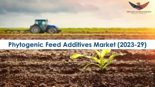 Phytogenic Feed Additives Market Research Insights 2023