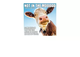 Kindle online PDF Not in the Mooood 2023 Wall Calendar full