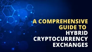 A Comprehensive Guide to Hybrid Cryptocurrency Exchanges